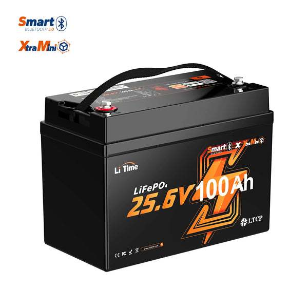 24V 100Ah Group 31 LiFePO4